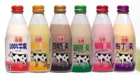 國農牛奶240ML 6種口味(原味.巧克力.果汁.草莓.麥芽 布丁)